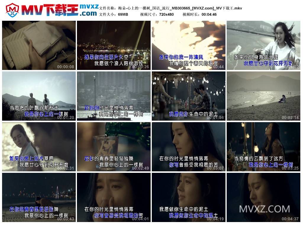 梅朵-心上的一棵树_国语_流行_MB303665